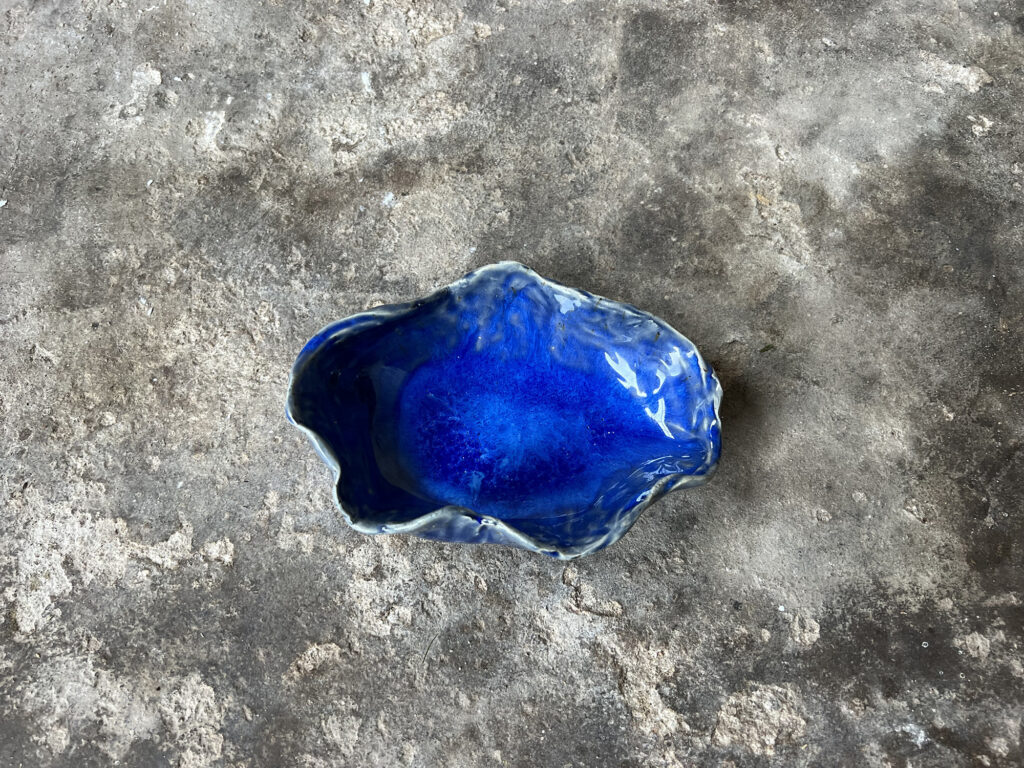 small glossy blue seashell bowl