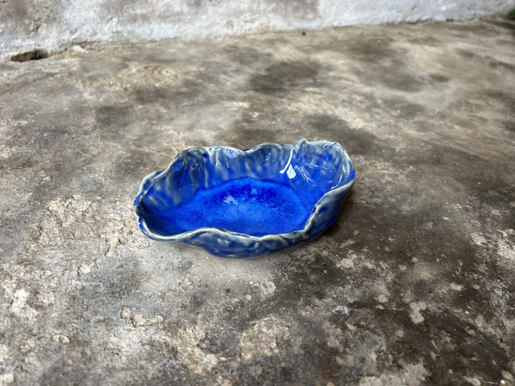 small glossy blue seashell bowl