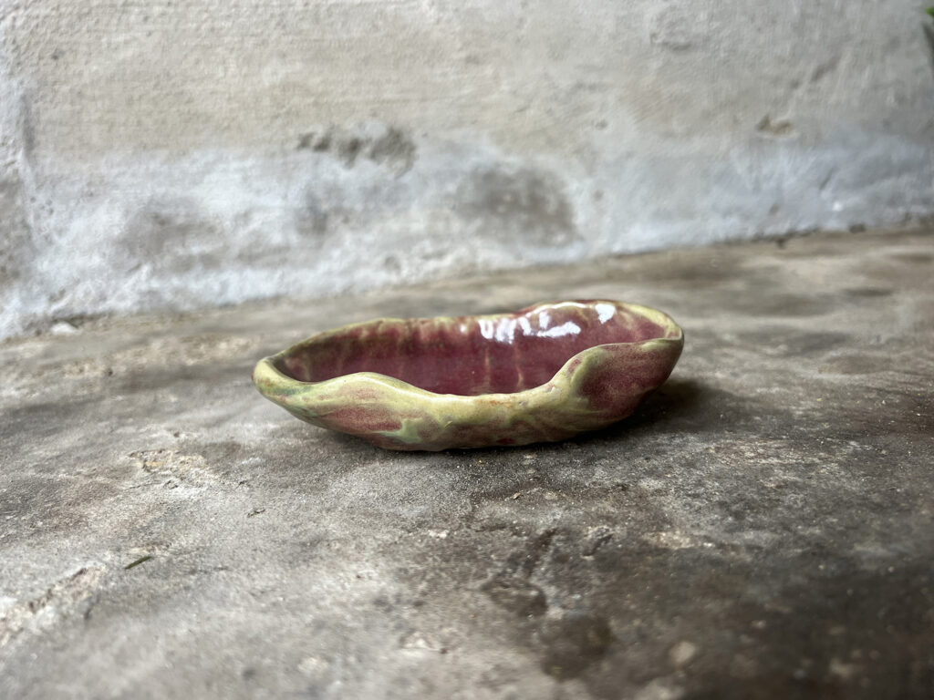 Red and green seashell soap dish