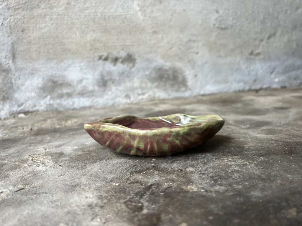 Red and green seashell soap dish