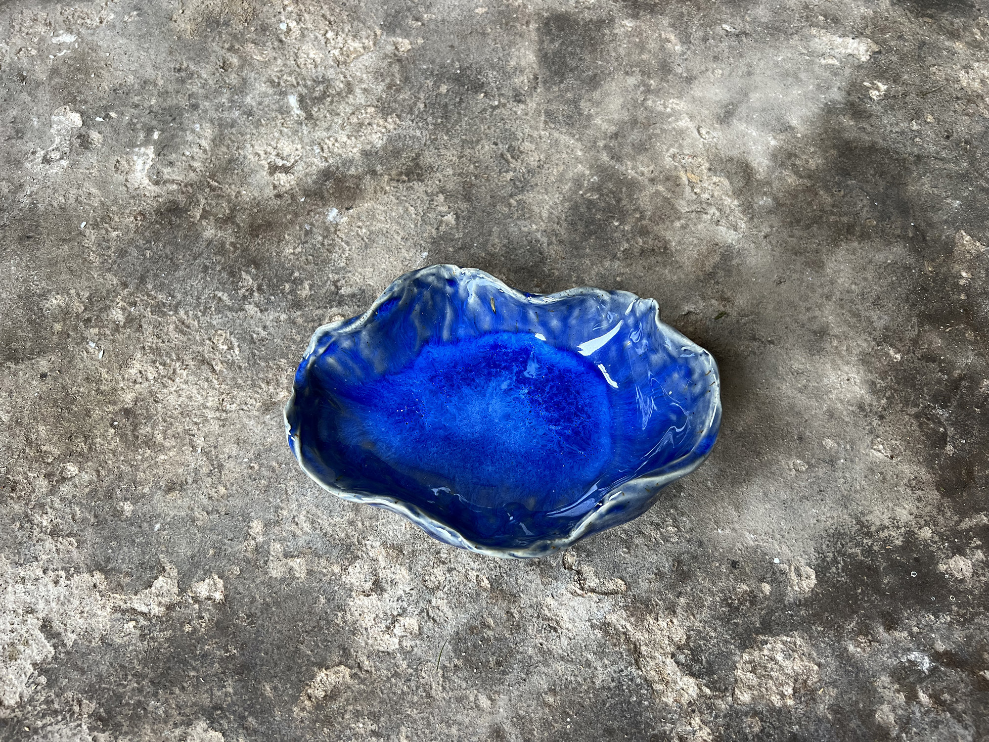 small glossy blue seashell bowl