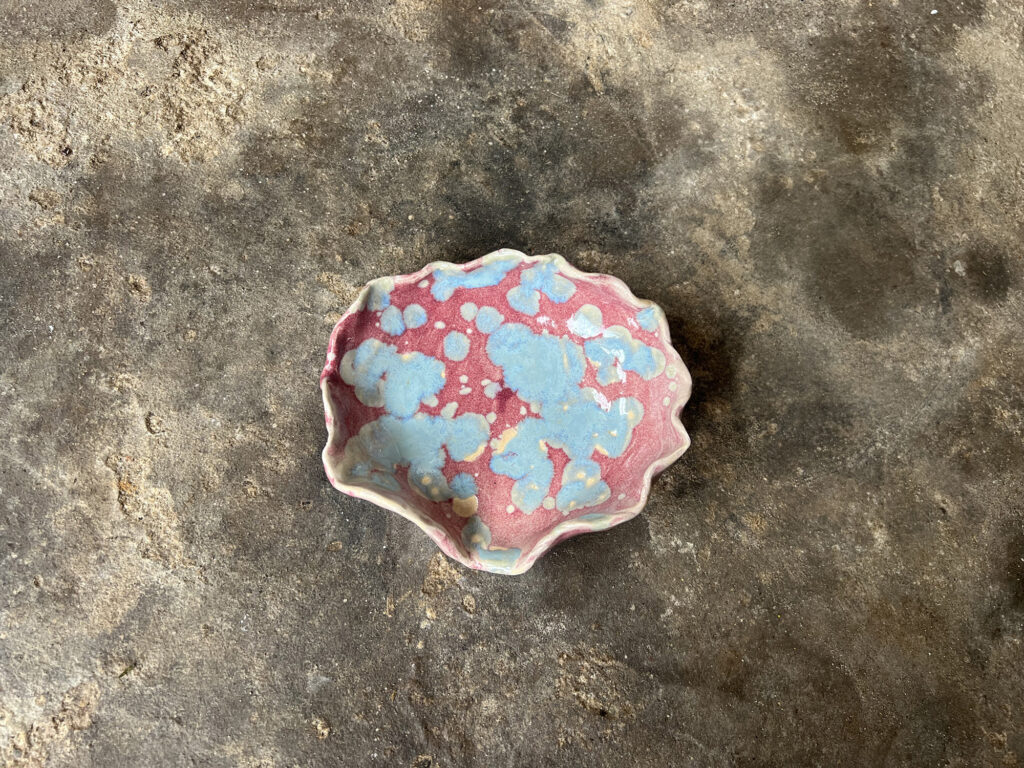 Seashell pink and teal from above