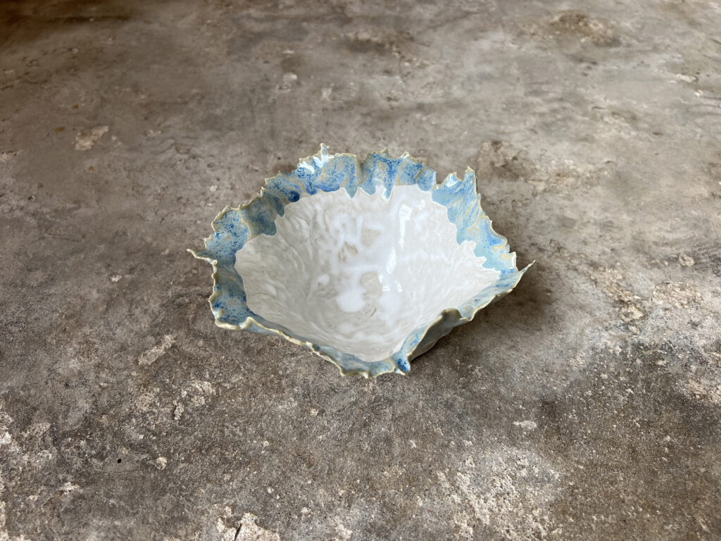 Wildflower bowl white and teal