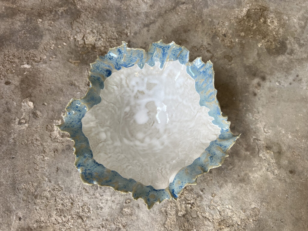 Wildflower bowl white and teal