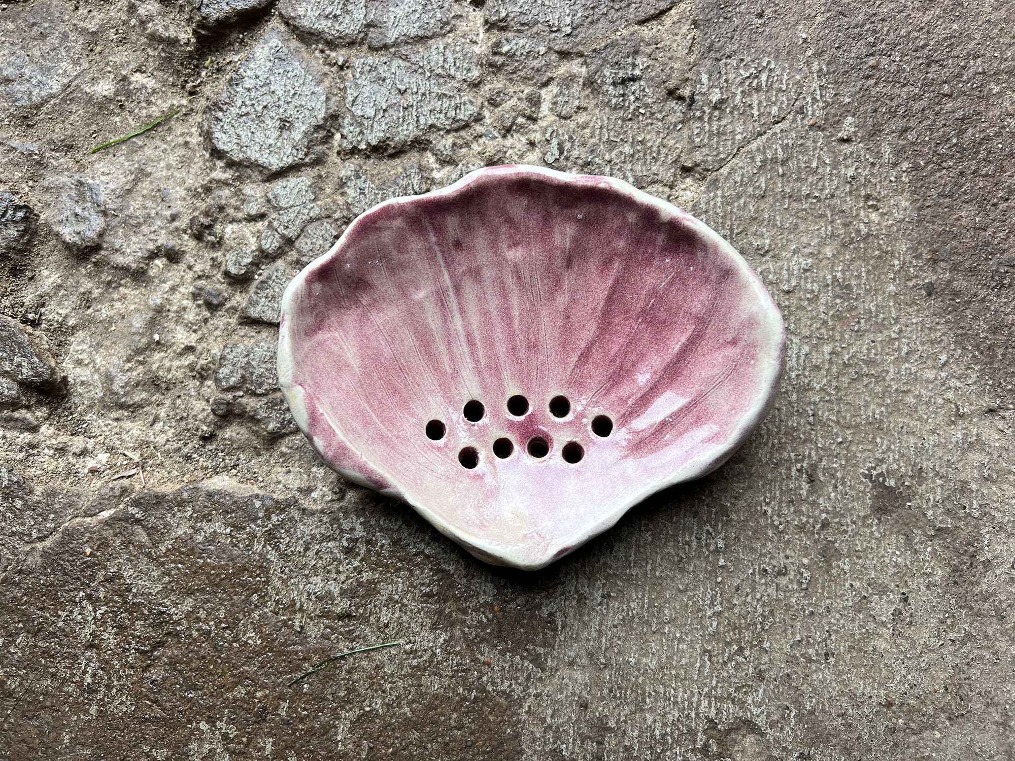 red seashell soap dish