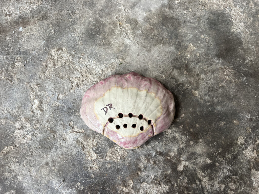 red seashell soap dish