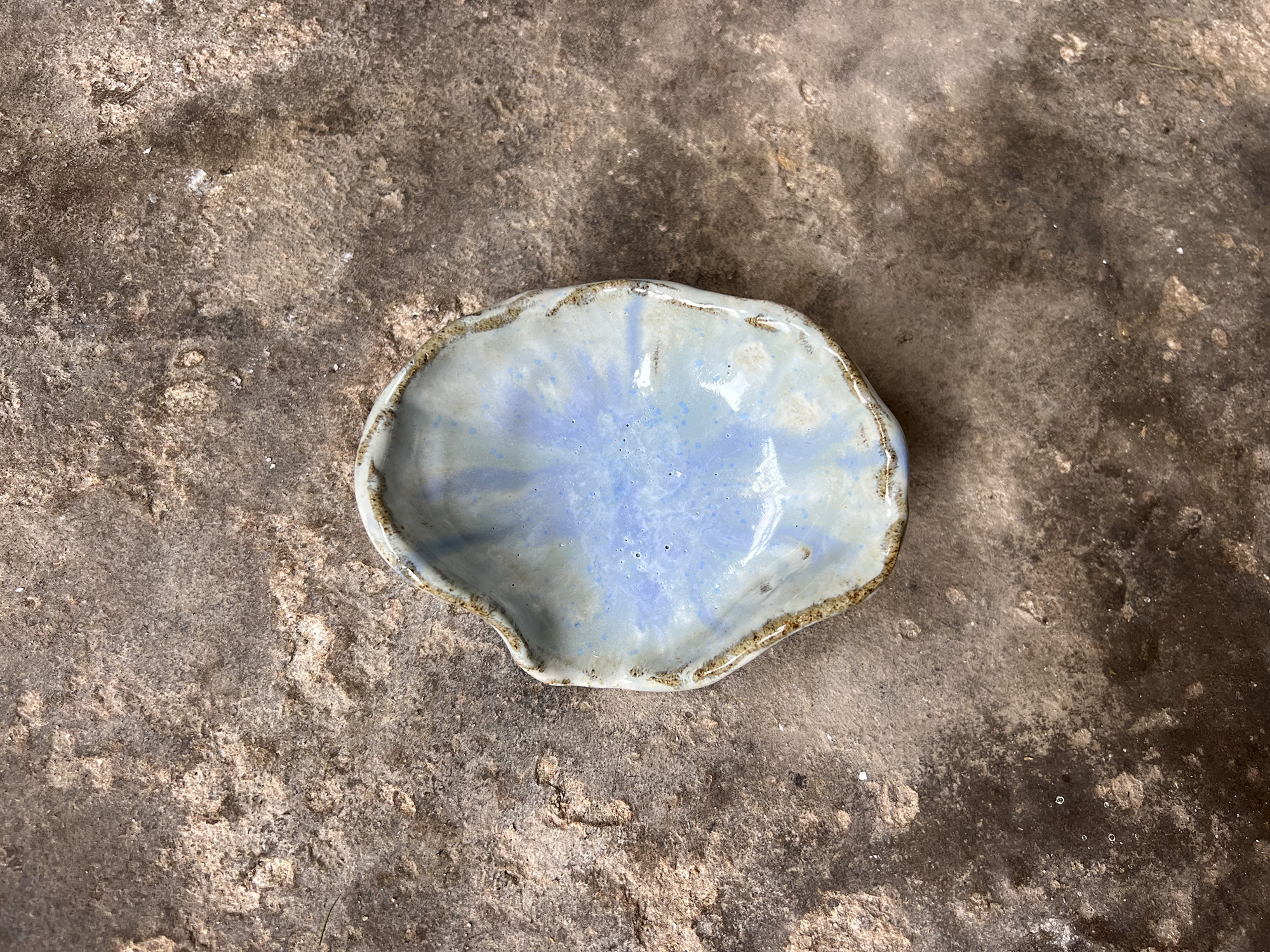 small glossy white and light blue seashell bowl