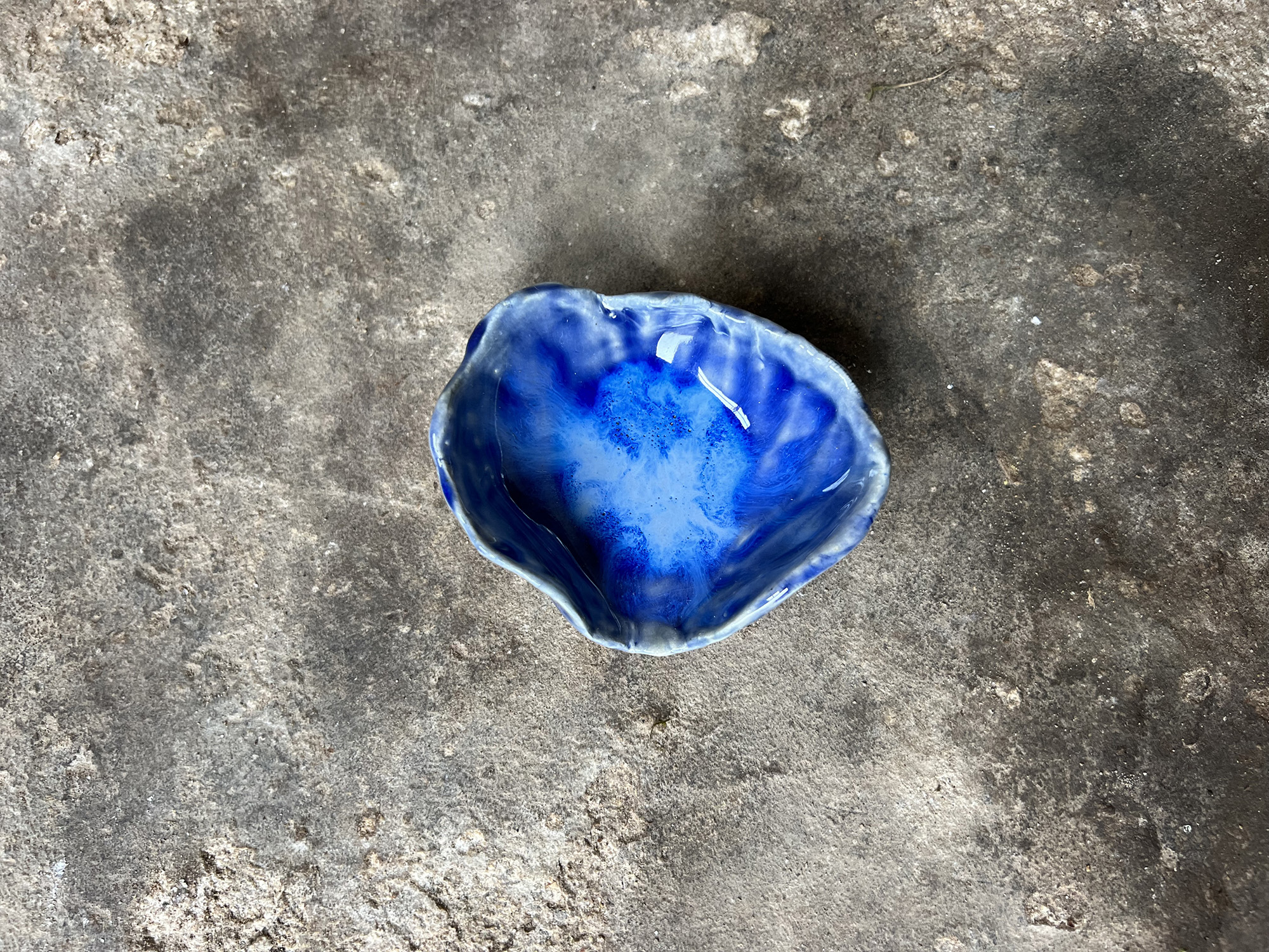 small glossy blue seashell bowl