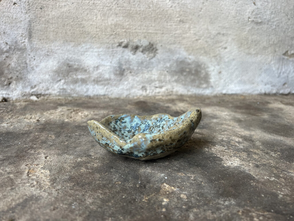 Small teal & brown seashell bowl