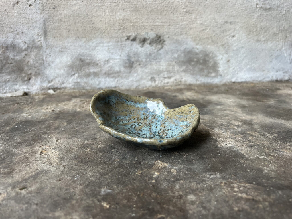 Small teal & brown seashell bowl