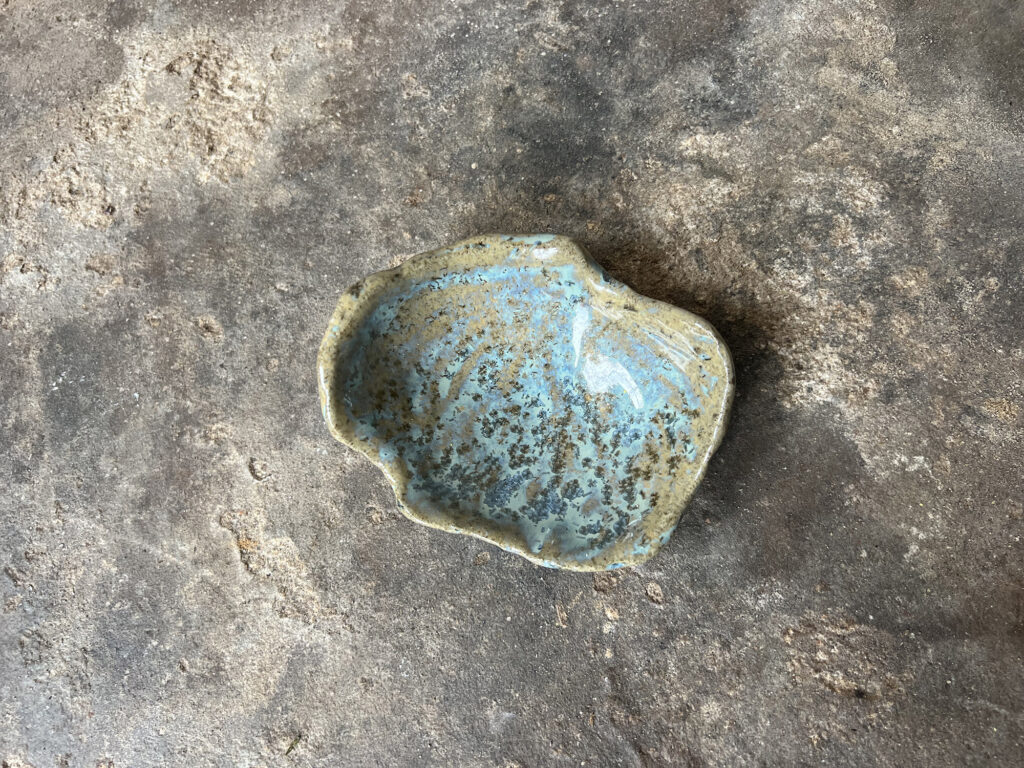 Small teal & brown seashell bowl