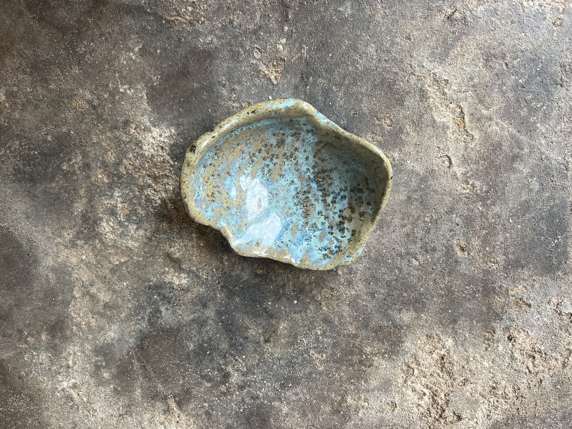 Small teal & brown seashell bowl