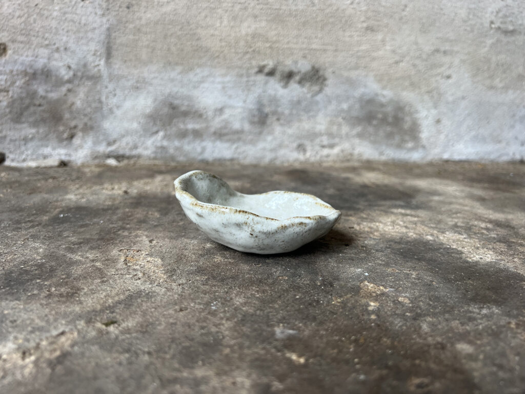 small glossy white & brown seashell bowl