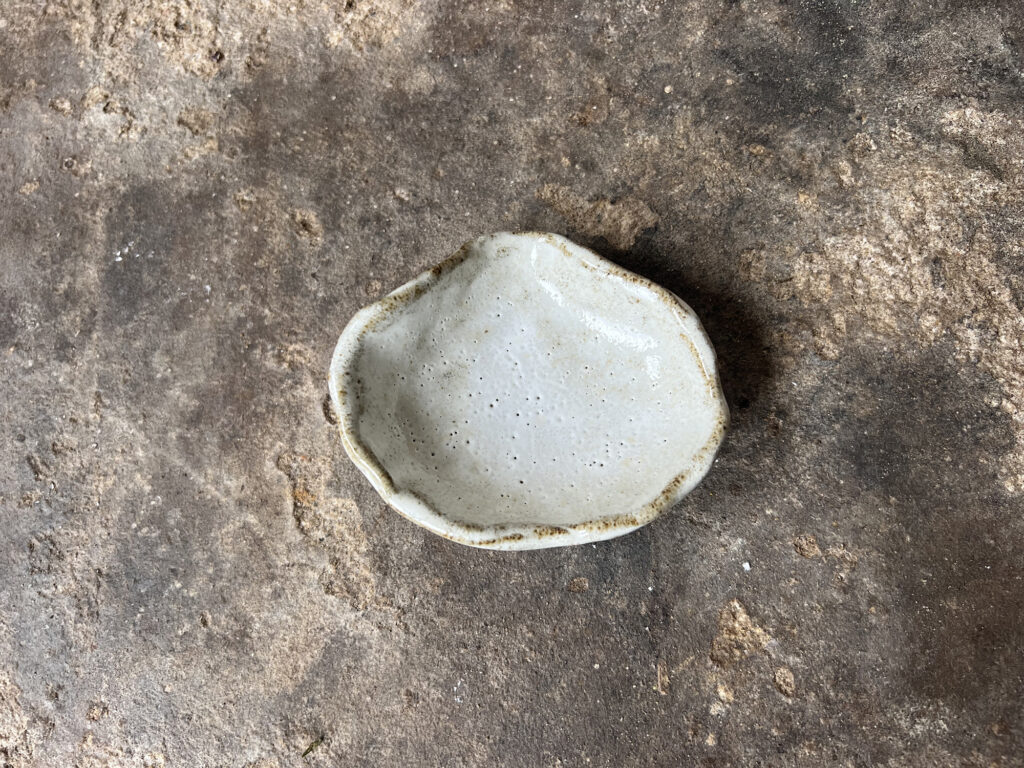 small glossy white & brown seashell bowl