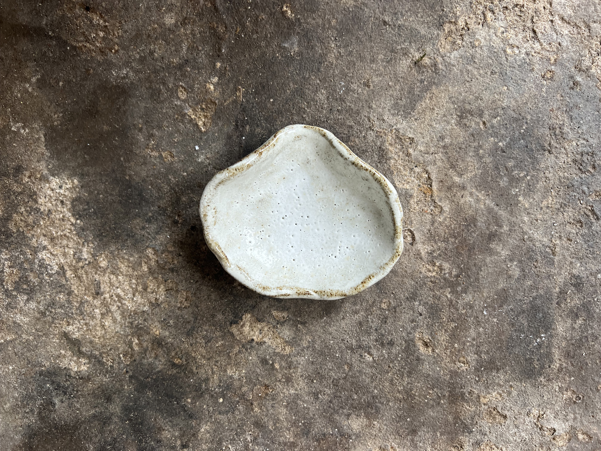 small glossy white & brown seashell bowl