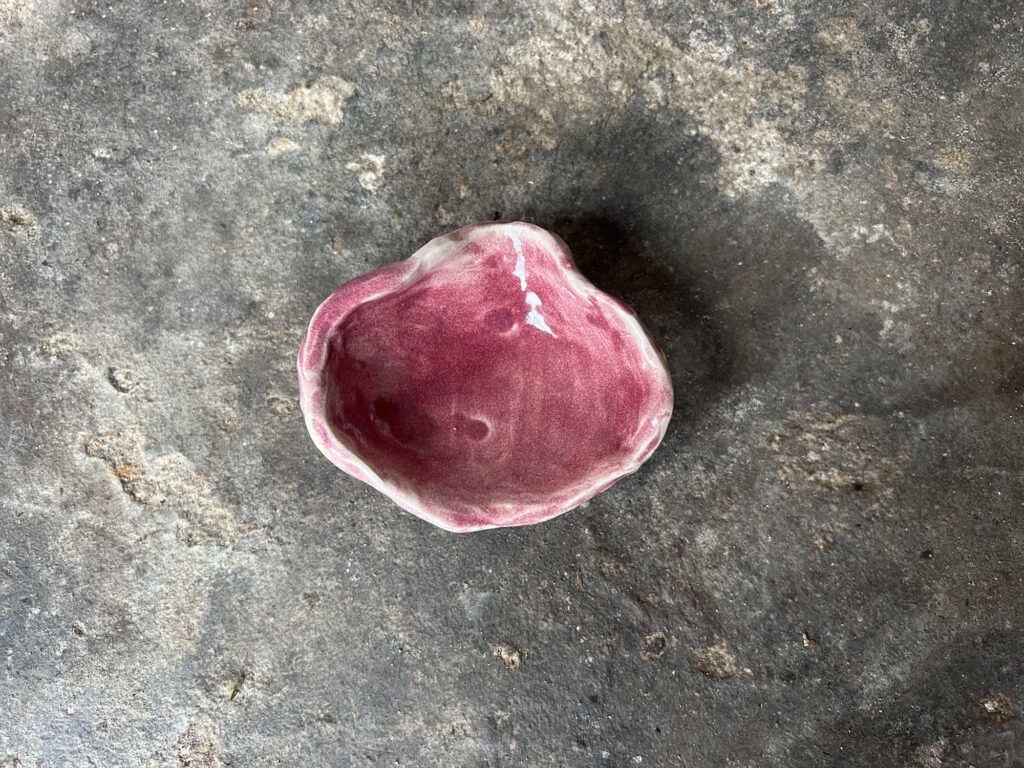 small pink seashell bowl