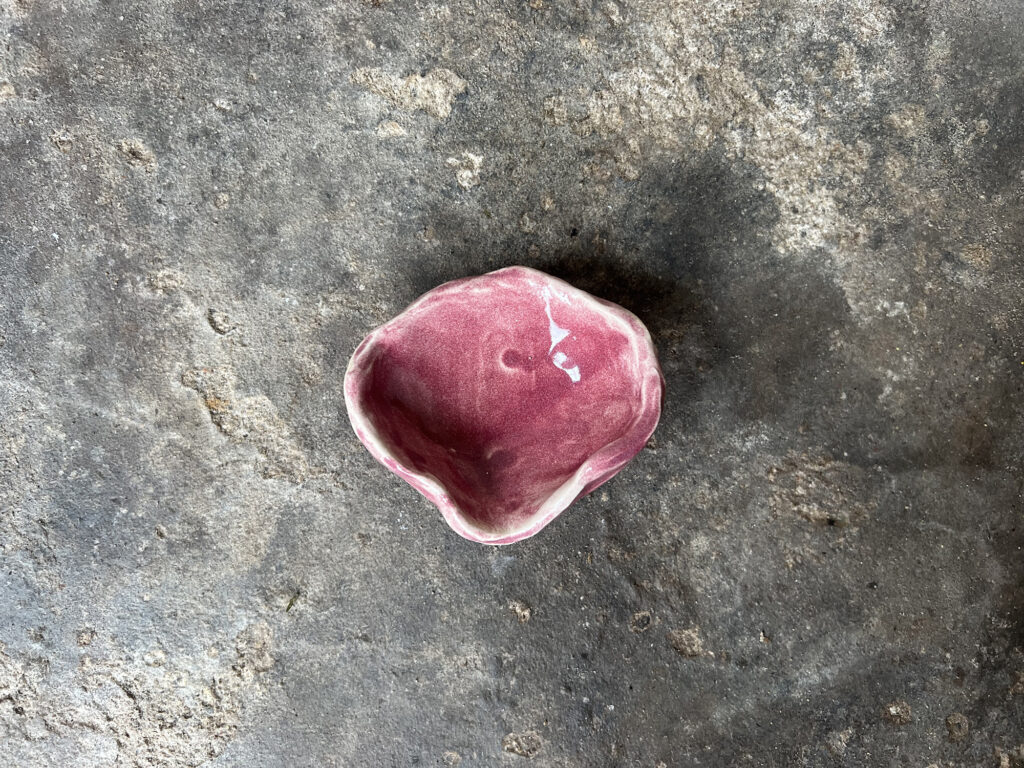 small pink seashell bowl