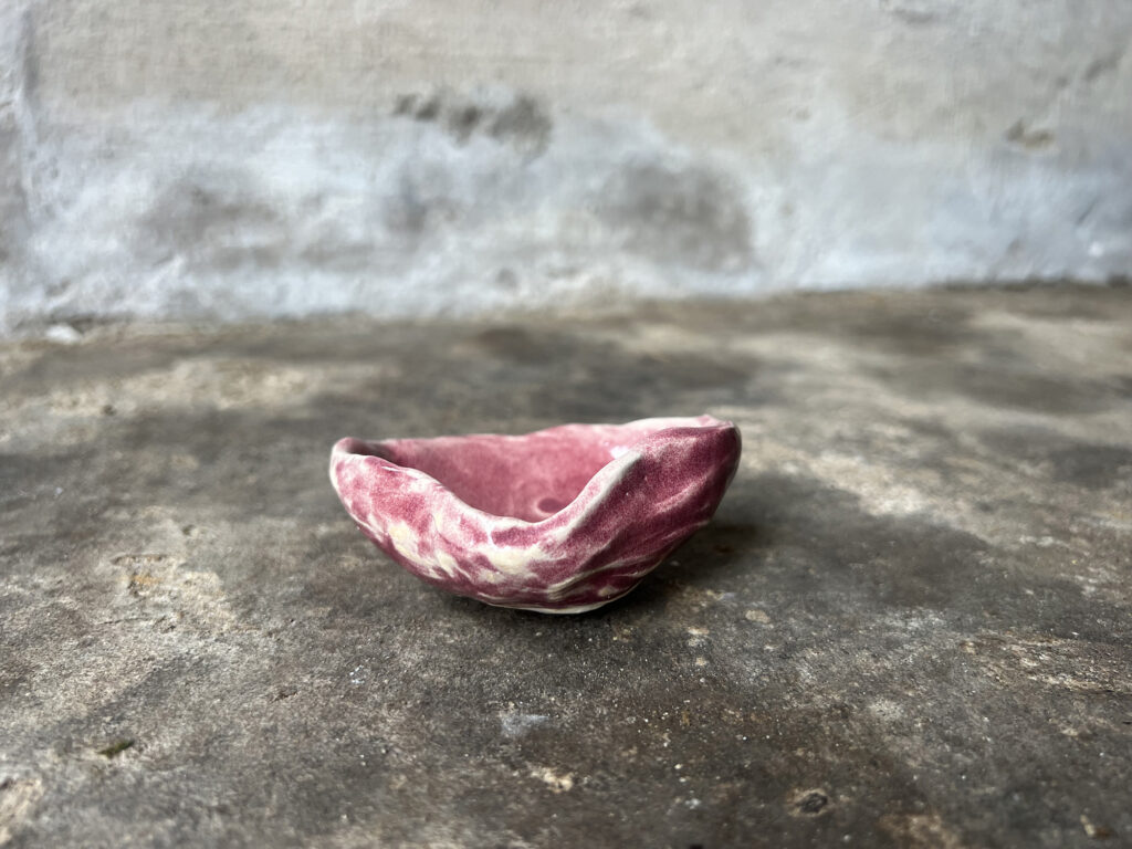 small pink seashell bowl