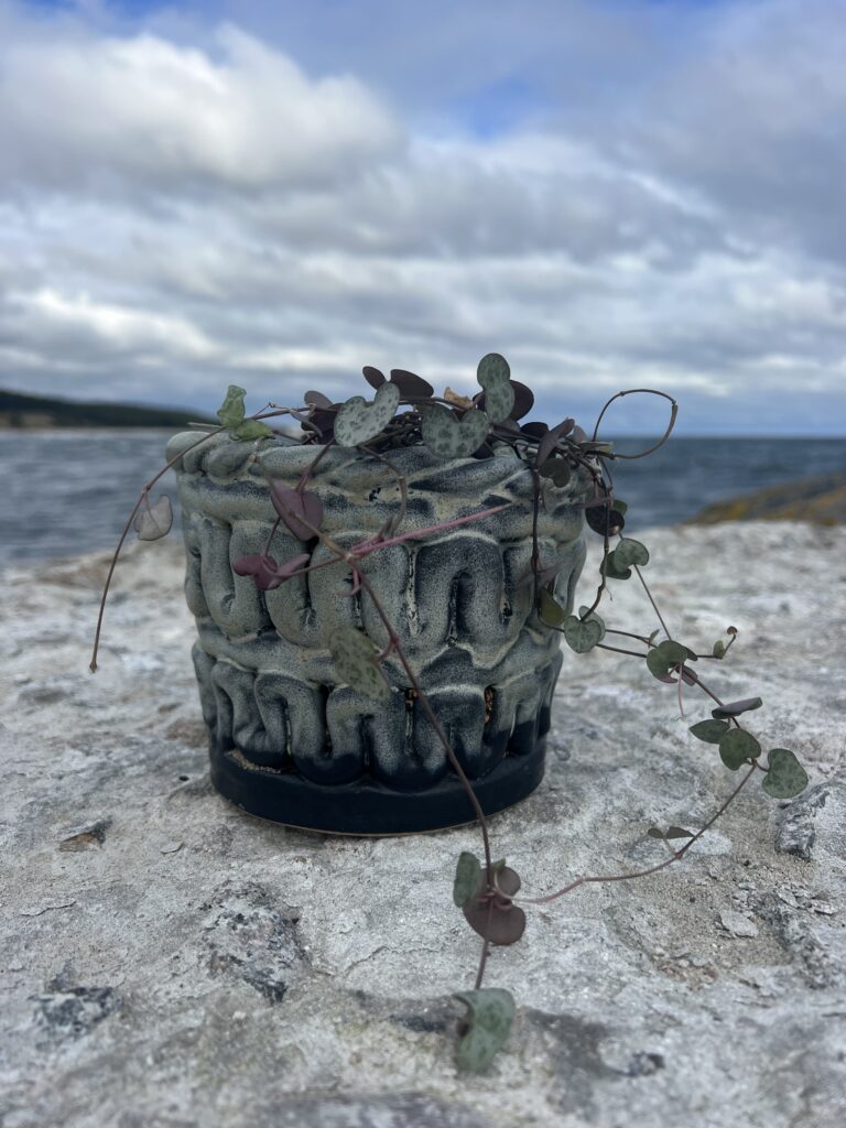 handmade braided ceramics pot