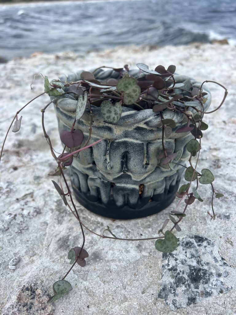 one-of-a-kind ceramics pot handmade in sweden