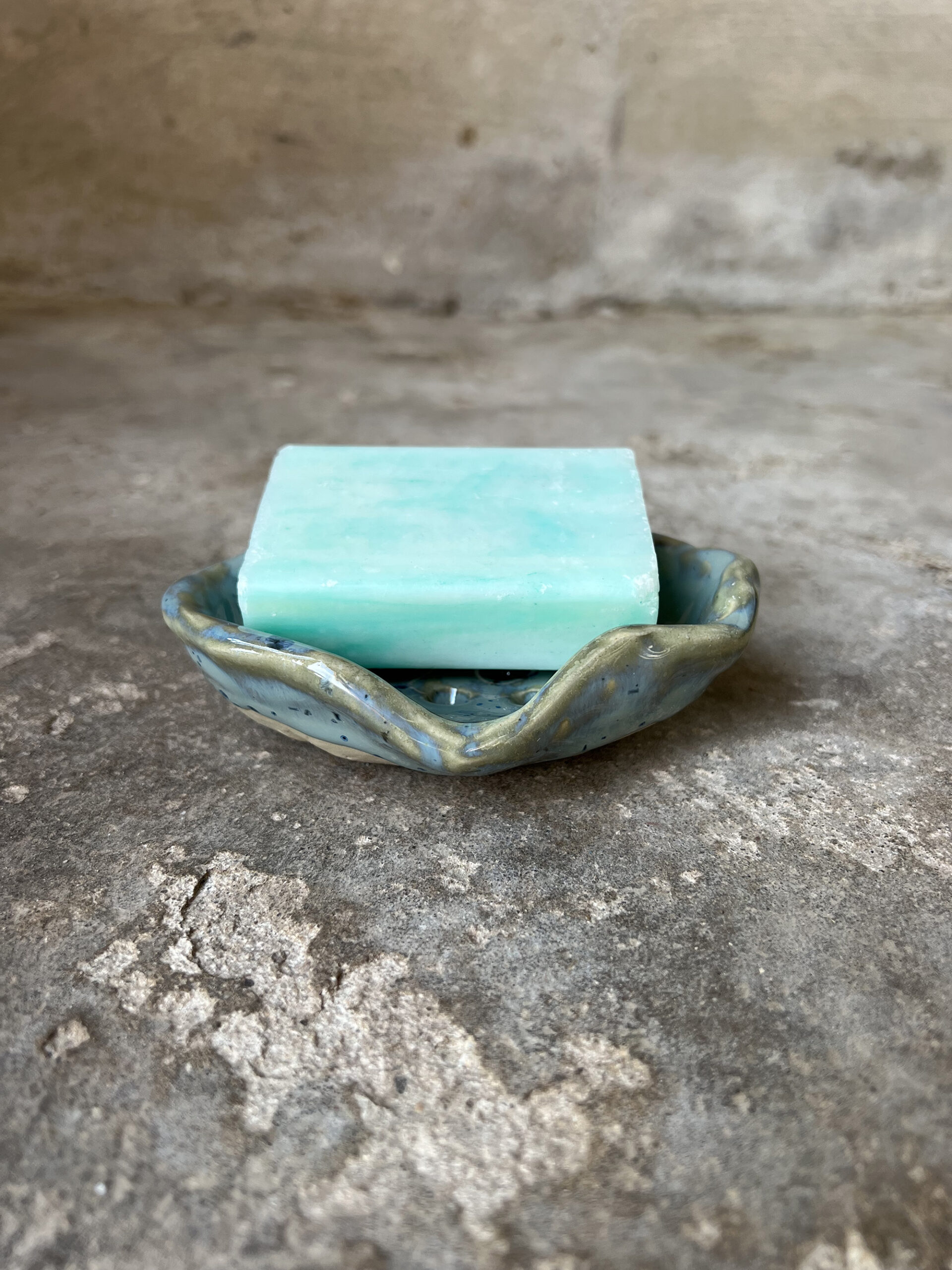 teal seashell soap dish