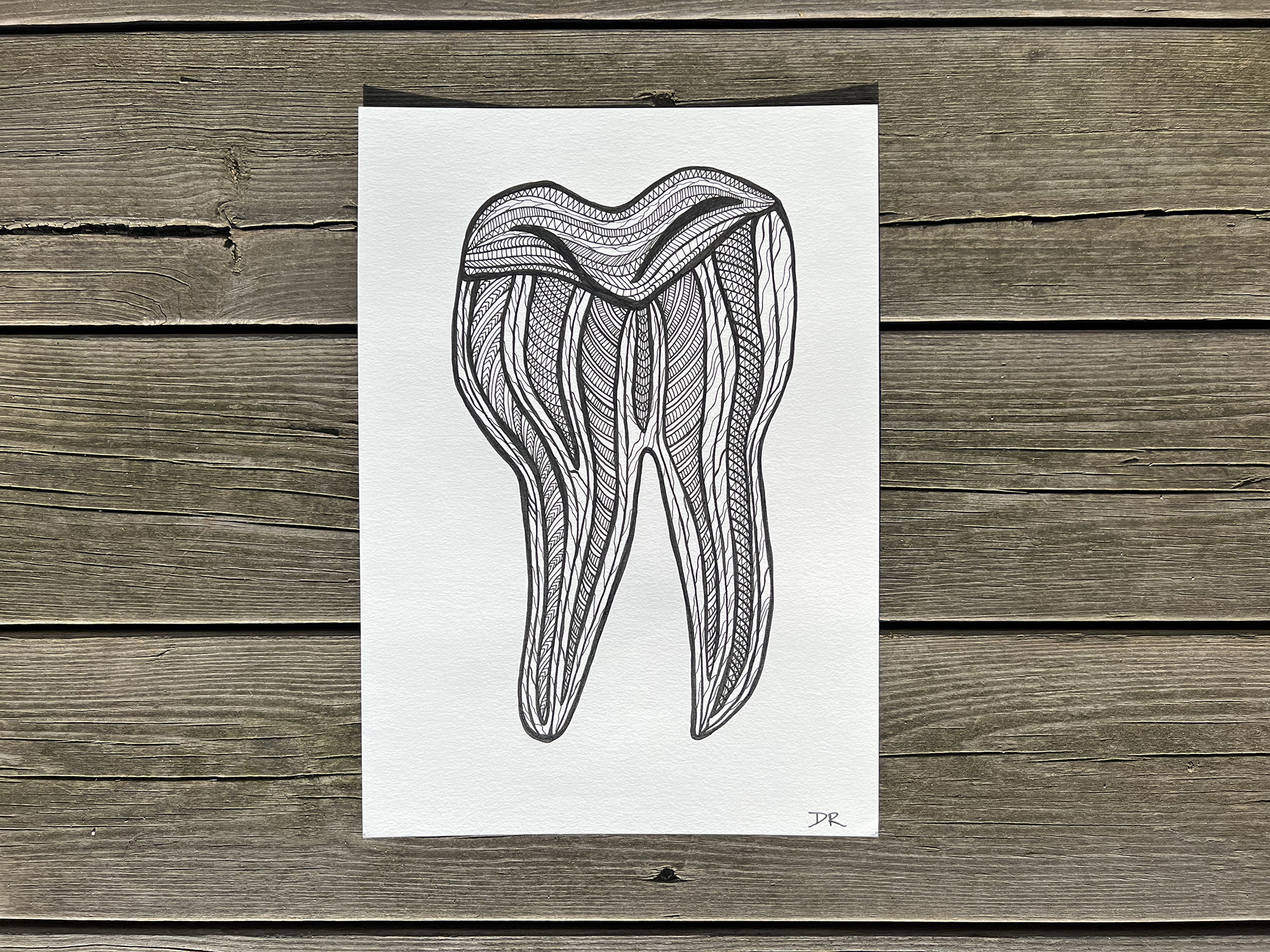 Tooth by atelier Desirée